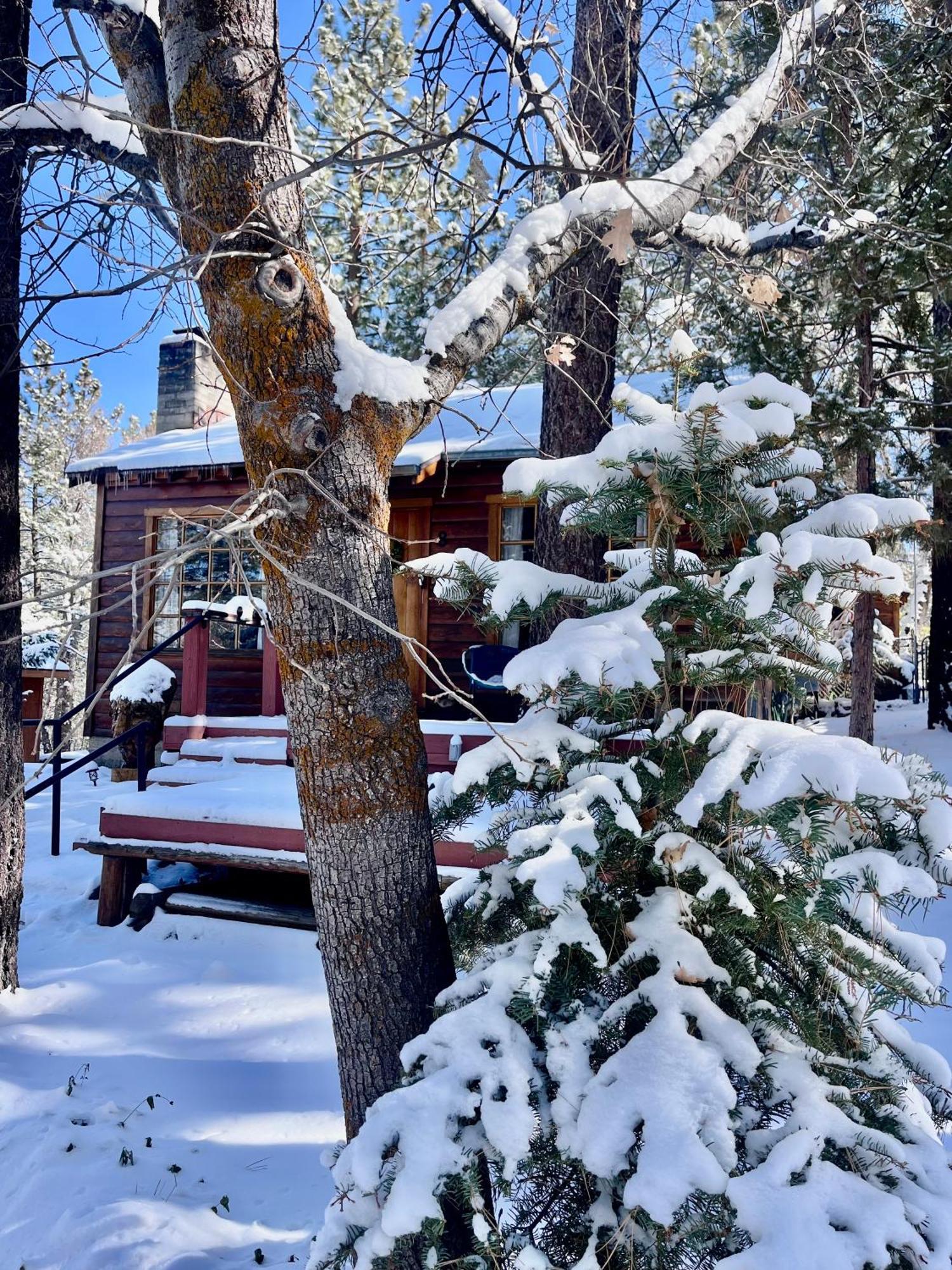 Villa The Nest On Towne Trail - Hot Tub, Bbq, Fire Pit Big Bear Lake Exterior foto
